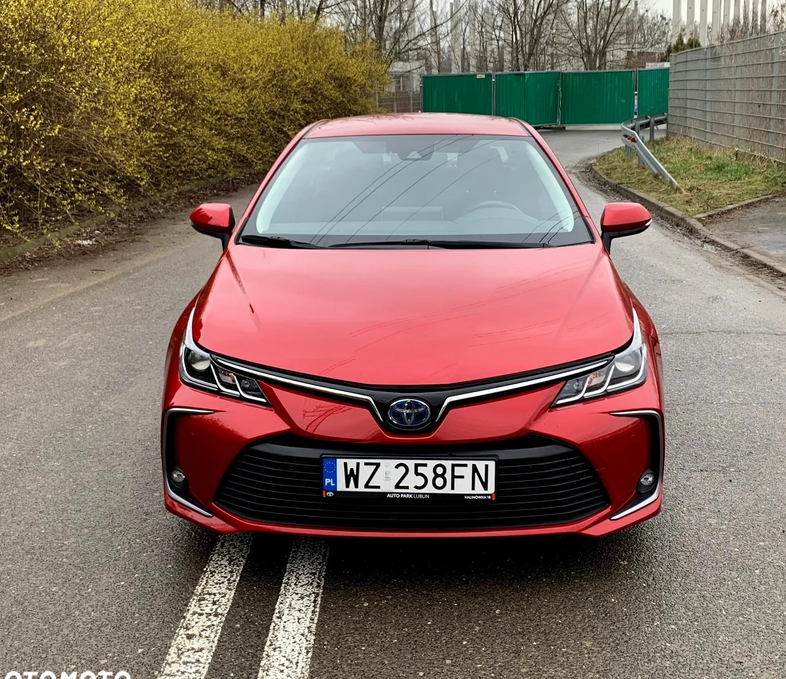 Toyota Corolla cena 79900 przebieg: 37000, rok produkcji 2020 z Radzyń Chełmiński małe 137